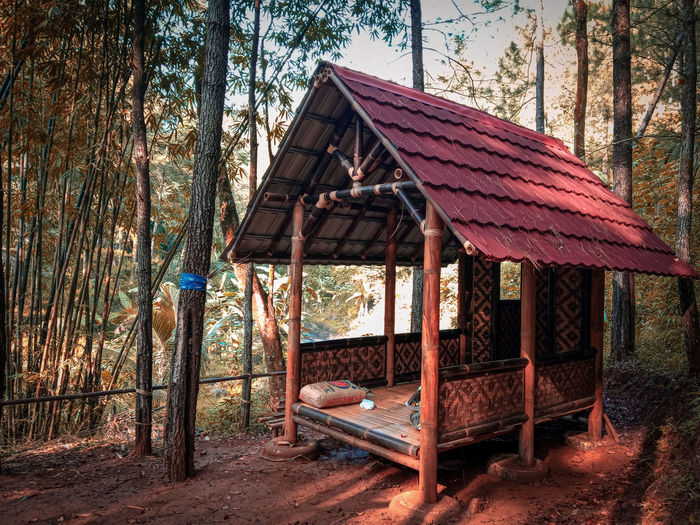 View of hut in forest