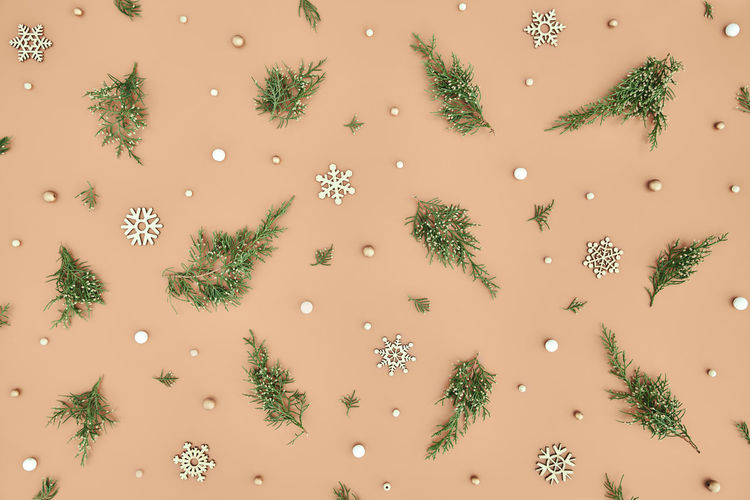 Xmas fir branches, snowflakes and beads on beige background