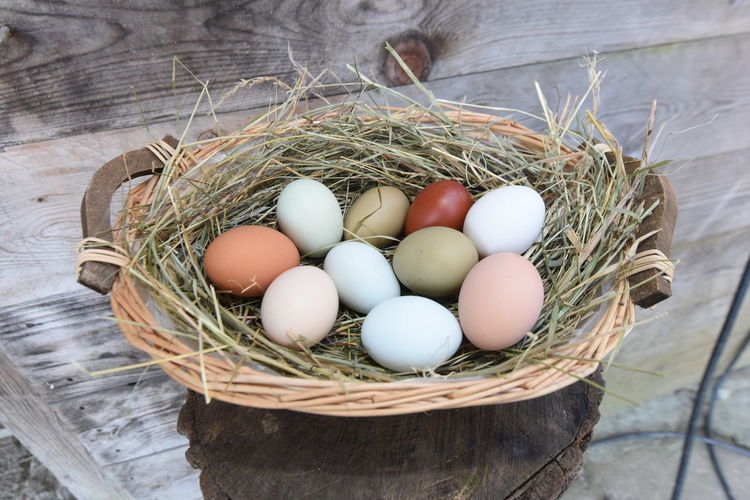 Eggs as food for baking and cooking, a natural product