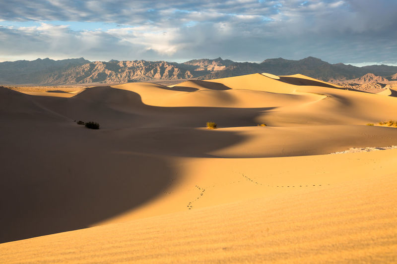 Scenic view of desert against sky