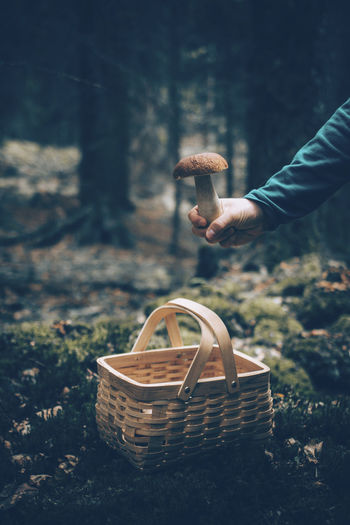 Hand holding mushroom