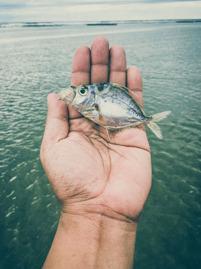 Close-up of hand holding fish in lake
