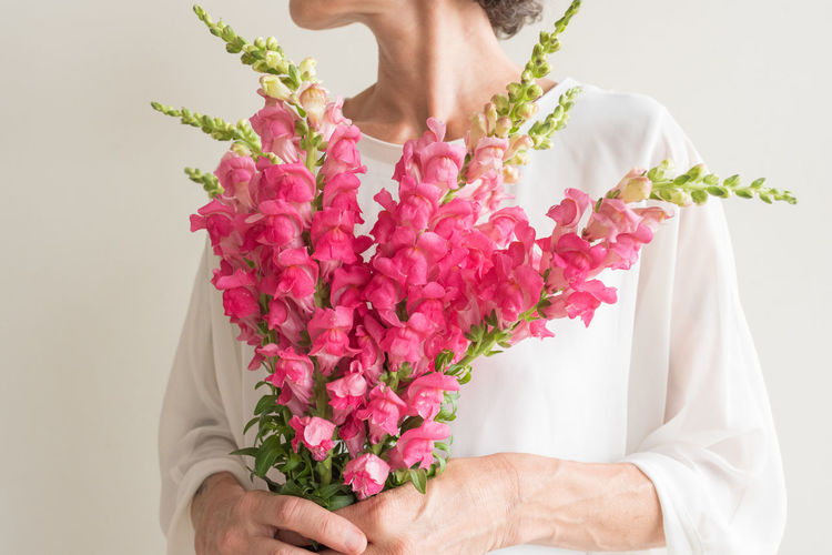 Midsection of woman holding pink flower against white background