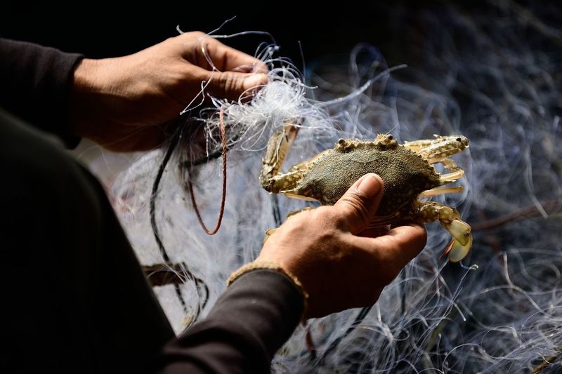 Midsection of man holding grab with net