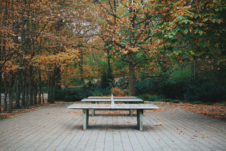 Table tennis tables in park during autumn