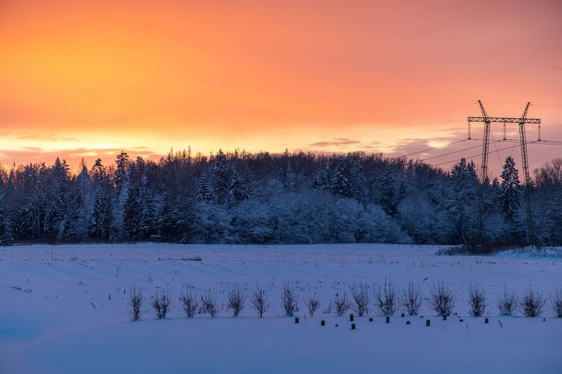 winter