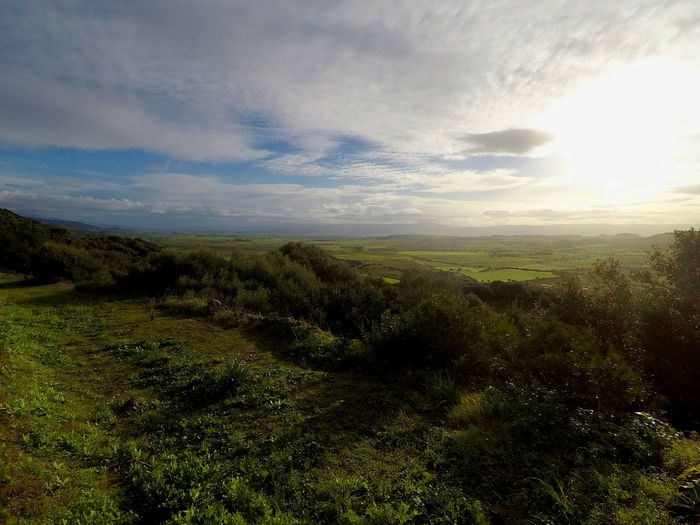 Scenic view of landscape against sky