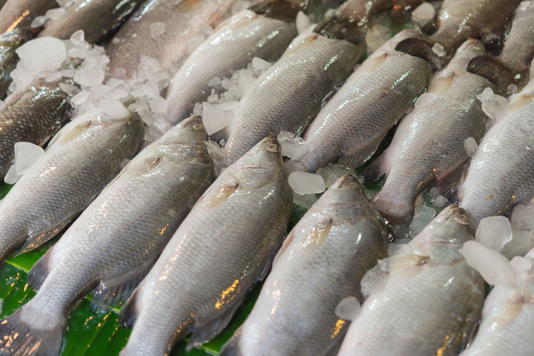 Full frame shot of fish for sale in market