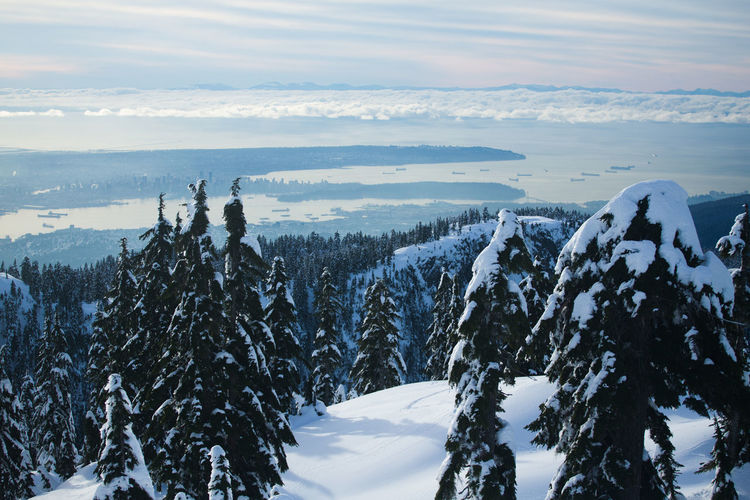 View of vancouver from mount seymour provincial park