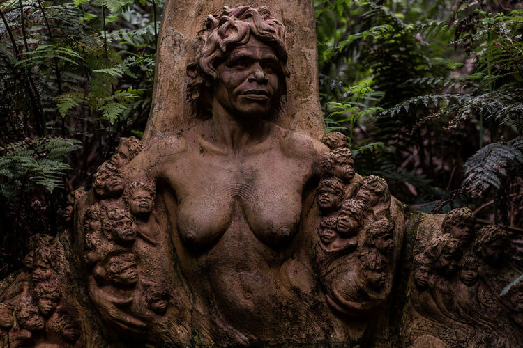 Close-up of aboriginal statue against trees in forest