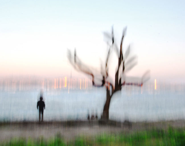 Blurred motion of people walking by plants against sky