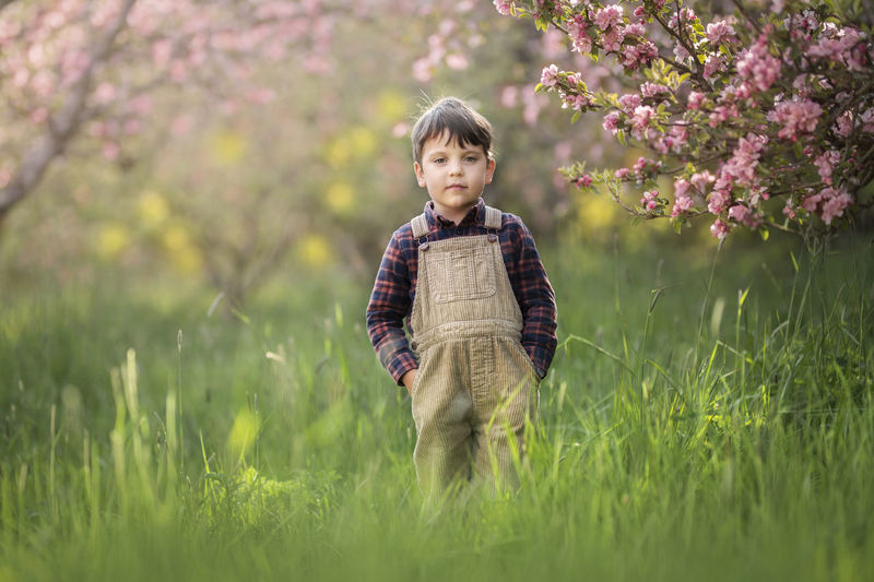 Boy is standing under blossoming trees at spring