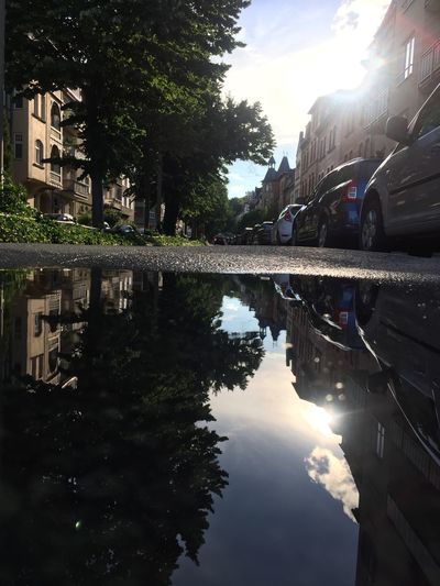 Reflection of trees in water against sky in city