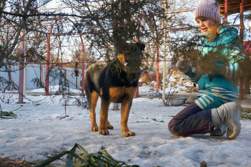 Rear view of man with dogs on snow covered field