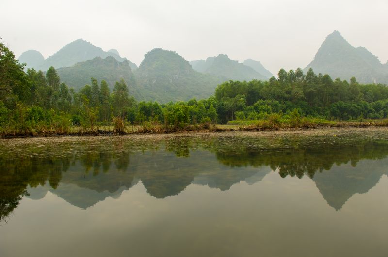 Reflection of trees in lake against sky