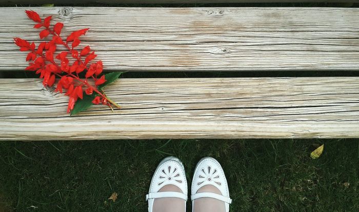 Low section of woman in front of red leaves on wooden bench