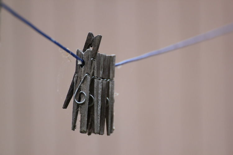 Close-up of clips handing on rope