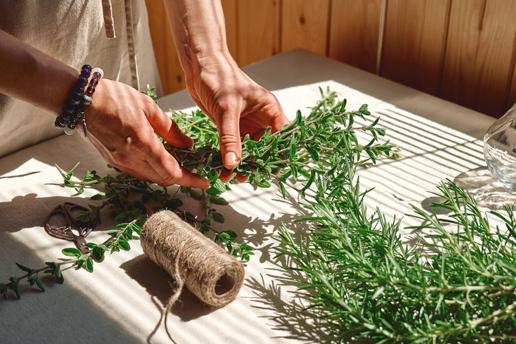 Alternative medicine. herbalist woman holding in her hands a bunch of rosemary.