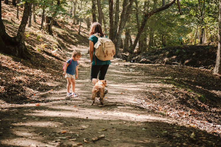 Mother and daughter with dogs hiking in forest