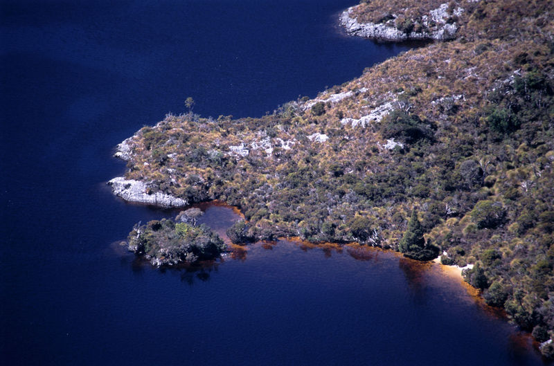 High angle view of lake by trees