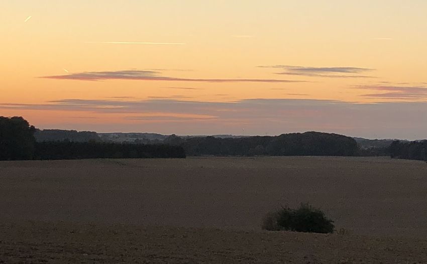 Scenic view of field against sky during sunset