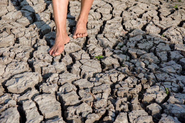 The cracked ground is dry due to the heat of the sun with high temperatures.