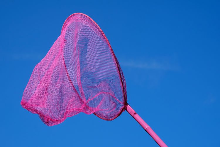 Low angle view of pink butterfly net against blue sky