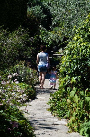 Rear view of mother with daughter walking on footpath amidst plants