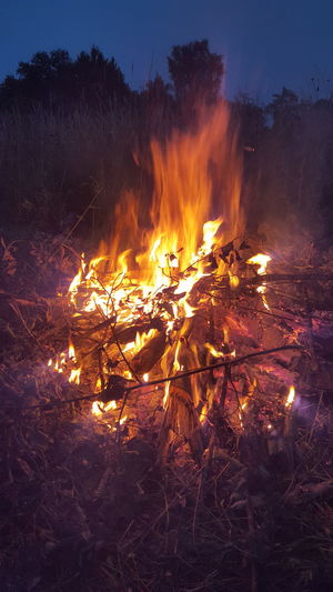 Bonfire in forest at night