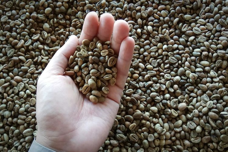 Cropped hand holding raw coffee beans
