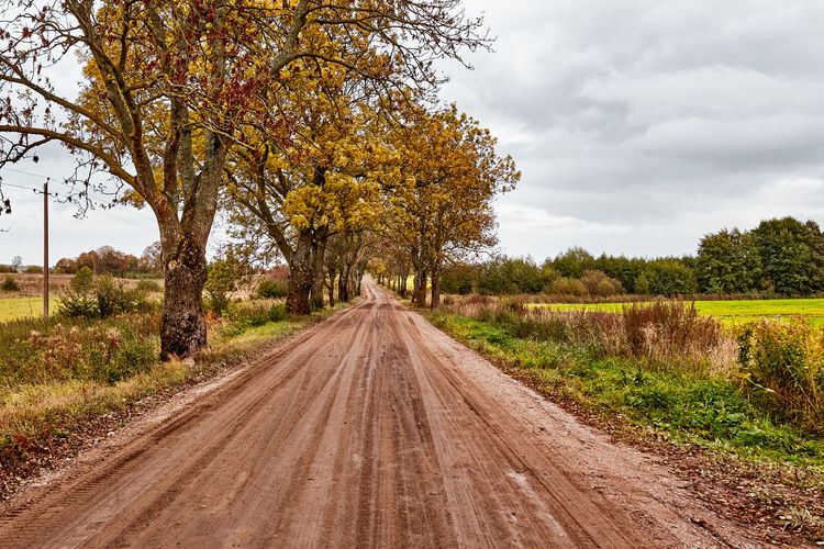 Dirt road along trees and plants against sky