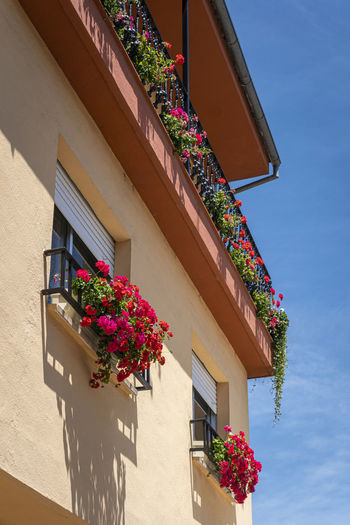 Pretty geranium flowers on balconies on a spanish villa, spain