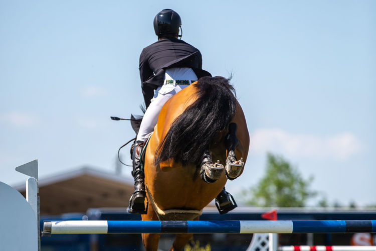 Horse jumping, equestrian sports themed photo.