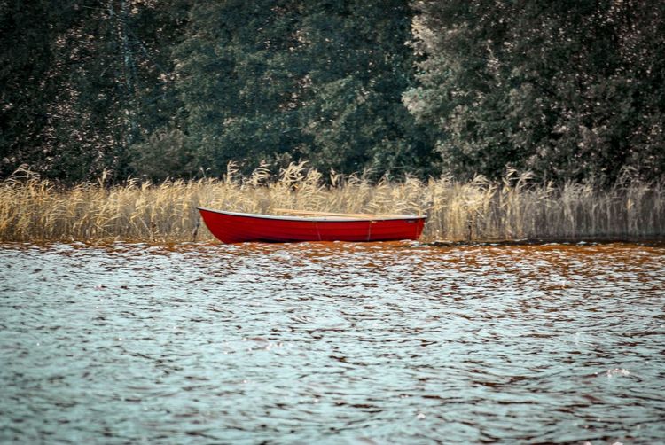 Boat on lake in forest
