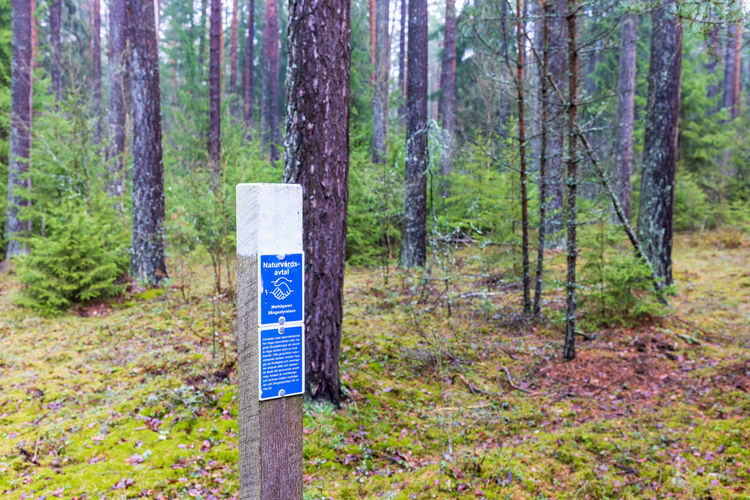 Information sign in forest