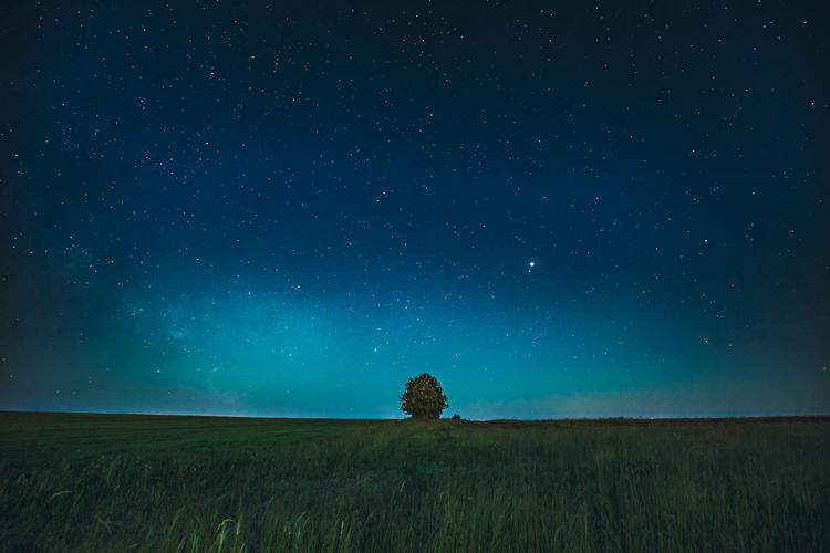 Scenic view of field against sky at night