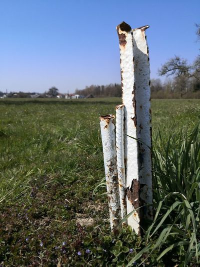 View of wooden post on field