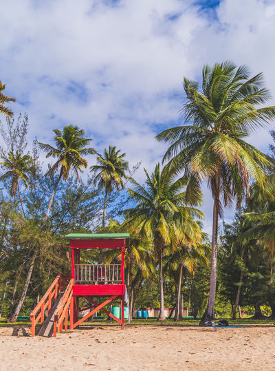 Chairs and palm trees on beach against sky