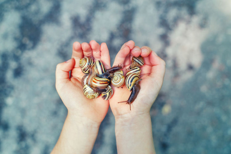 Close-up of hand holding snail outdoors