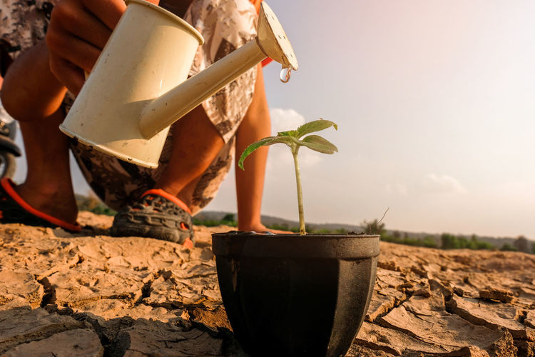 Low section of man watering potted plant on drought land
