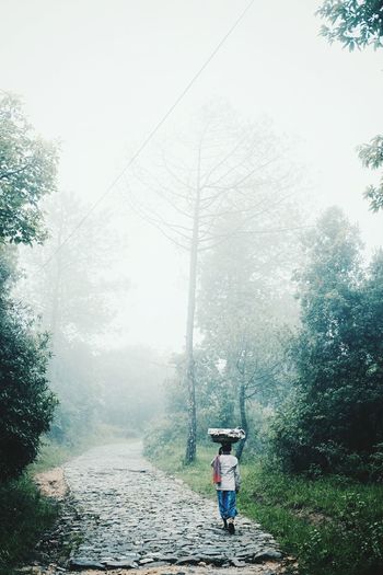 Rear view of man walking on road during foggy weather
