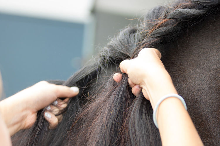 Cropped image of hands braiding mane
