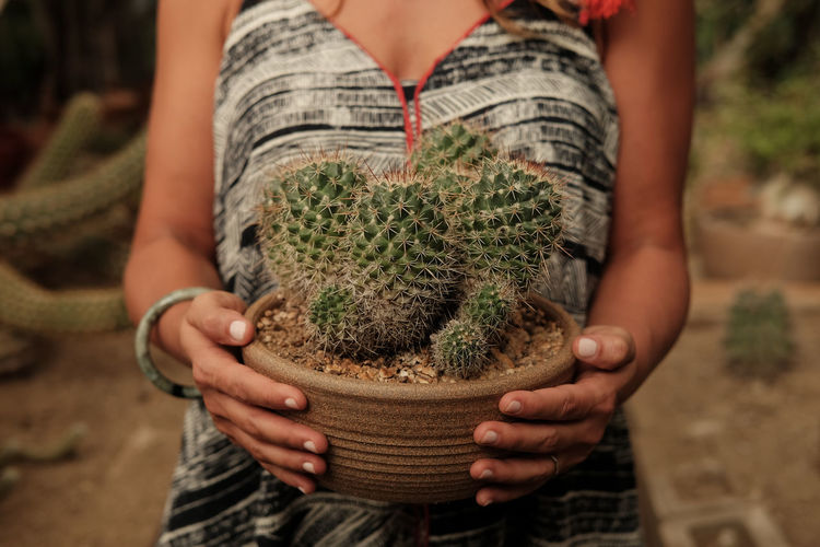 Midsection of woman holding plant