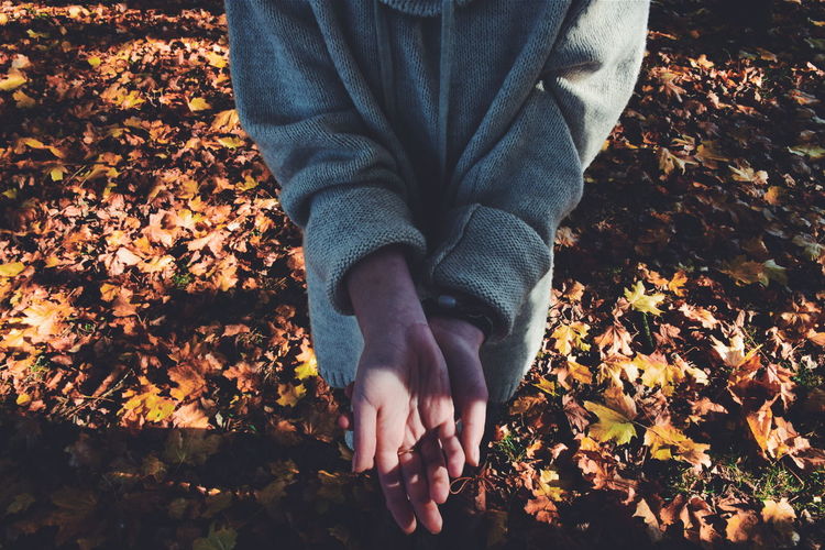 Low section of woman with cupped hands standing on autumn leaves