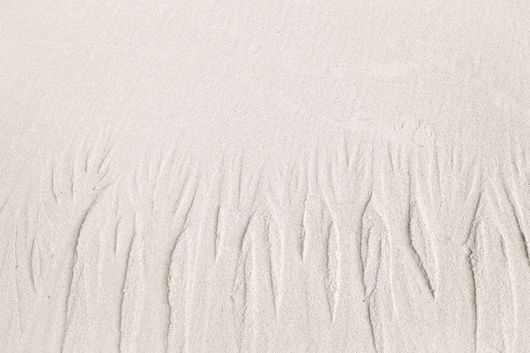 Sand texture. sandy beach for background. top view