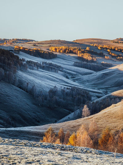 Scenic view of landscape against clear sky