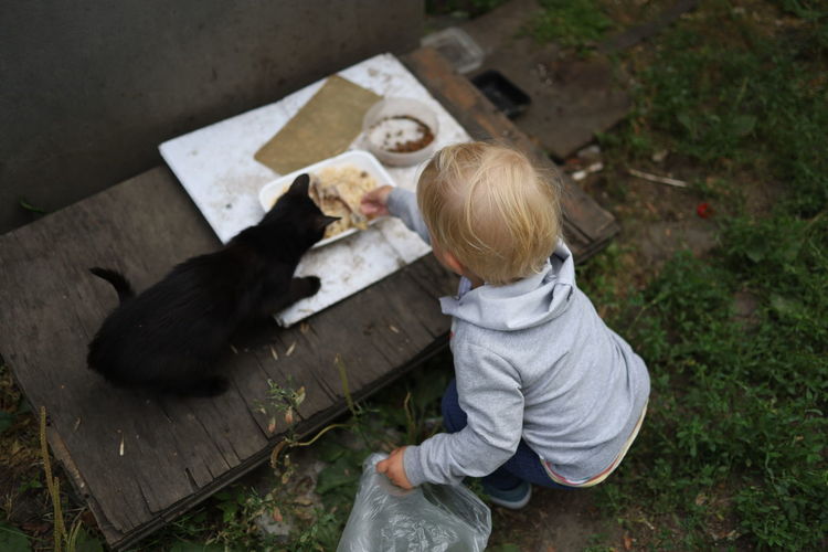 Child is feeding  a homeless cat