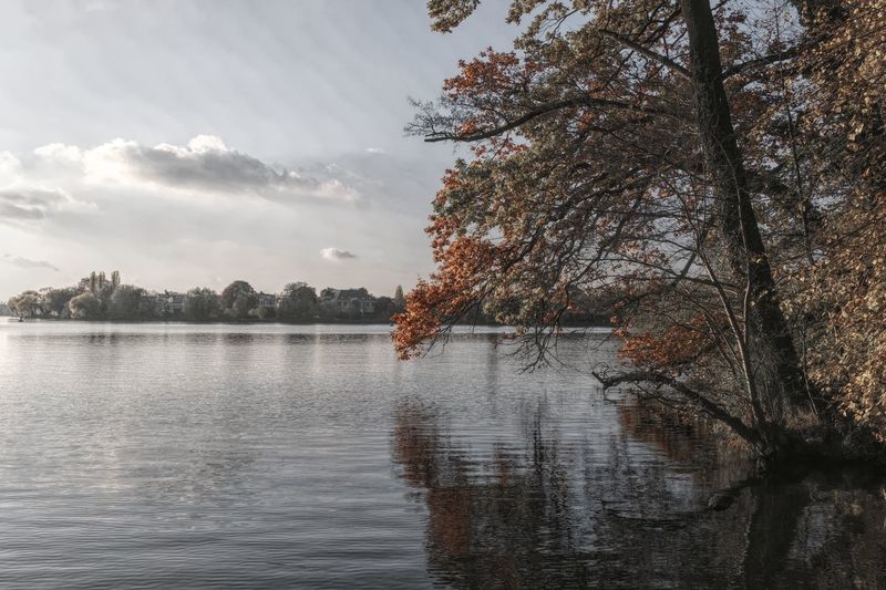 Scenic view of lake in forest against sky