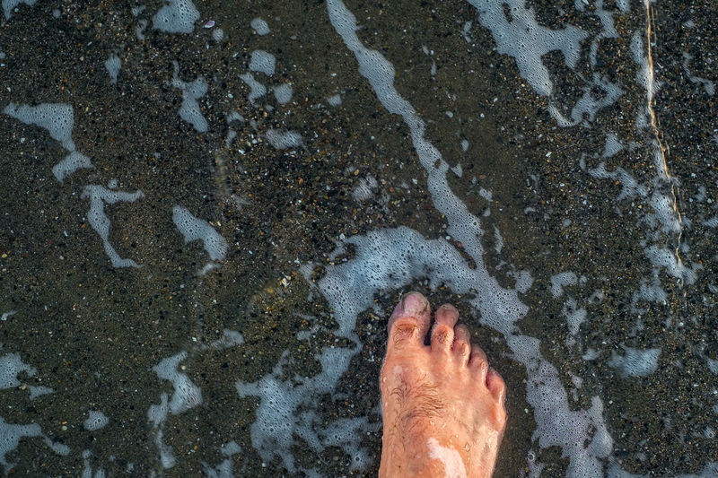 Low section of man standing at beach