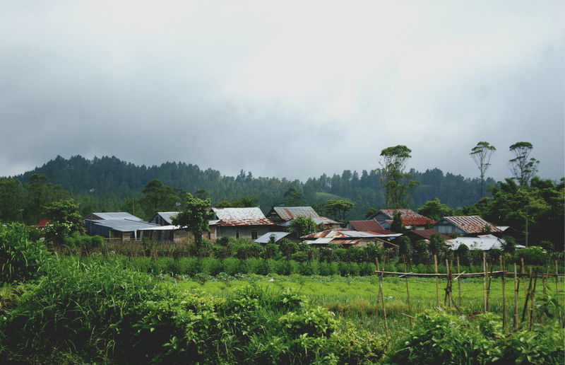 Houses on field against cloudy sky
